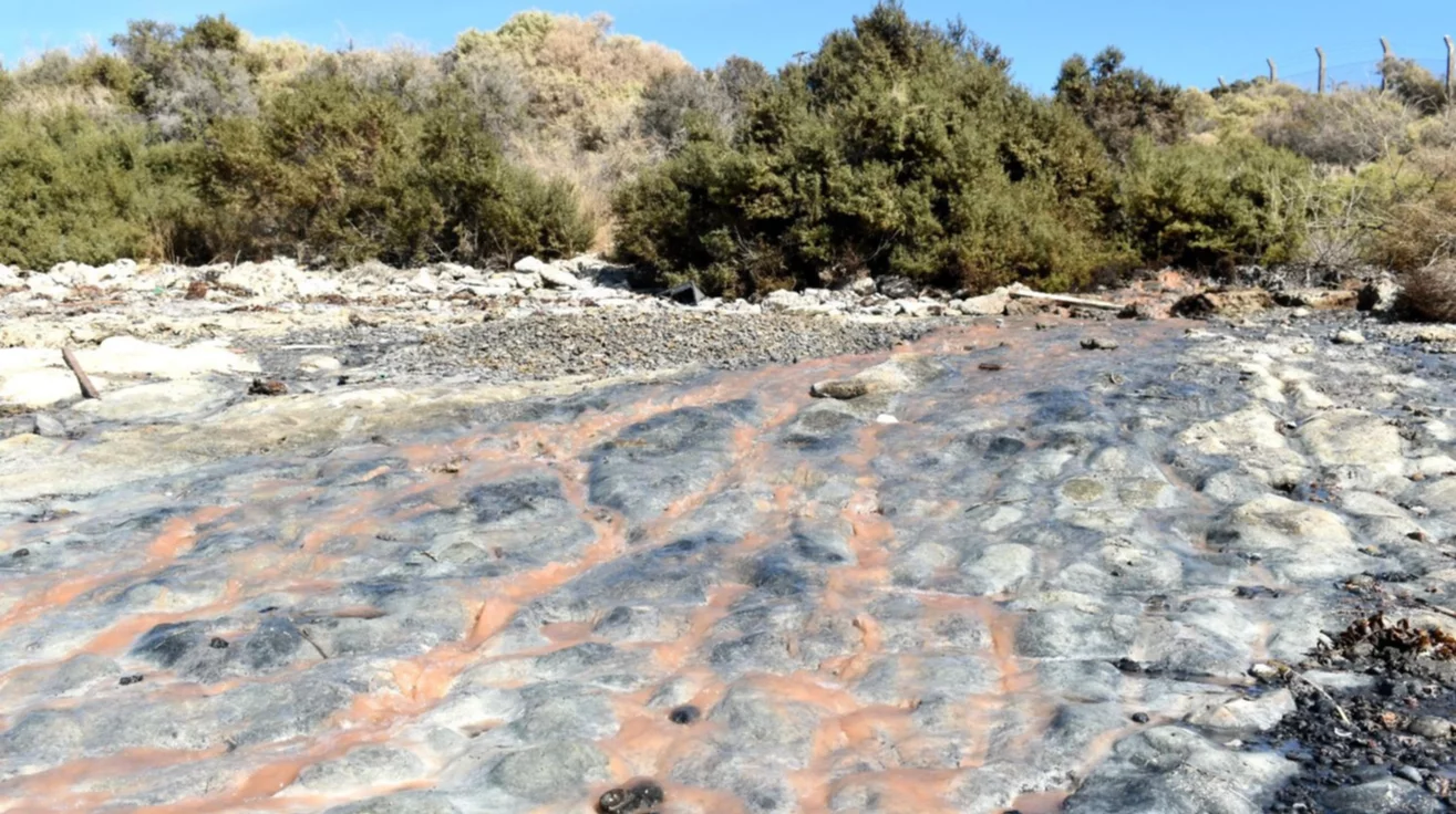 Denuncian importante vertido de afluentes al mar en parque pesquero - El  Chubut