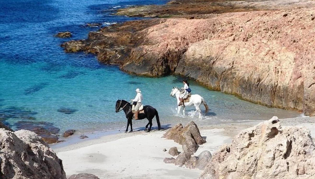 Bahía Bustamante suma nuevas propuestas al Parque Patagonia Azul Bahía Bustamante suma nuevas propuestas al Parque Patagonia Azul