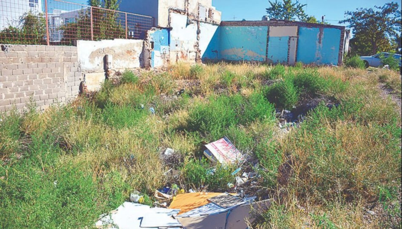 A una cuadra de la oficina de Ambiente hay un basural desde hace dos años