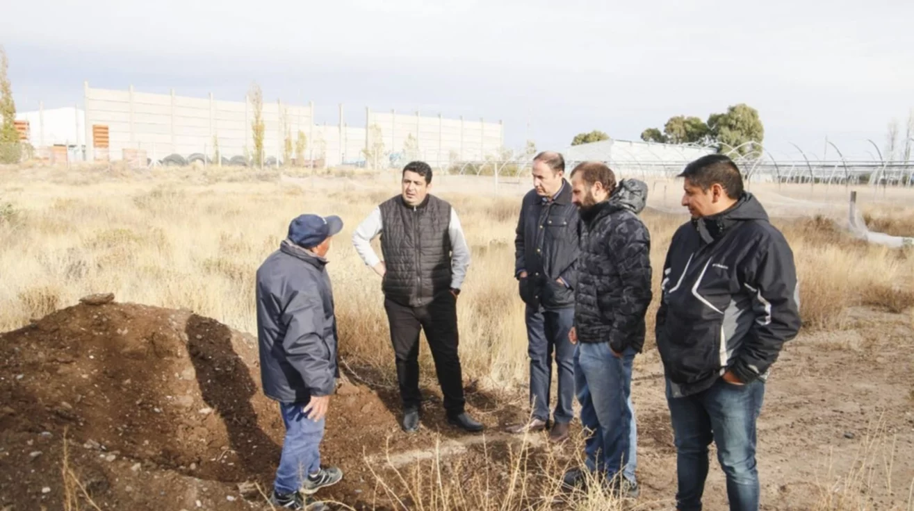 Municipalidad de Rawson trabaja para avanzar  en la forestación de distintos puntos de la ciudad