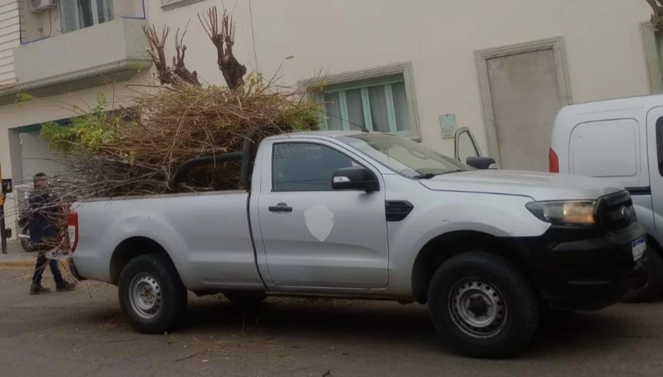 Continúa vigente la temporada de poda en Trelew