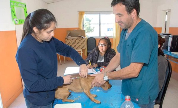 The Municipal Veterinary Place carries out the anti-rabies vaccination marketing campaign