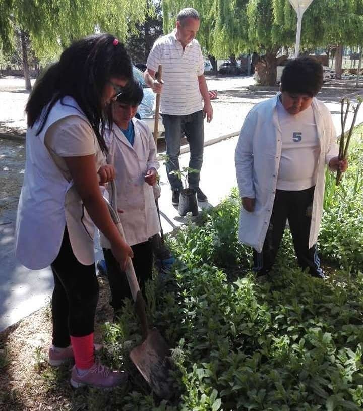 ALUMNOS REFORESTARON SU ESCUELA