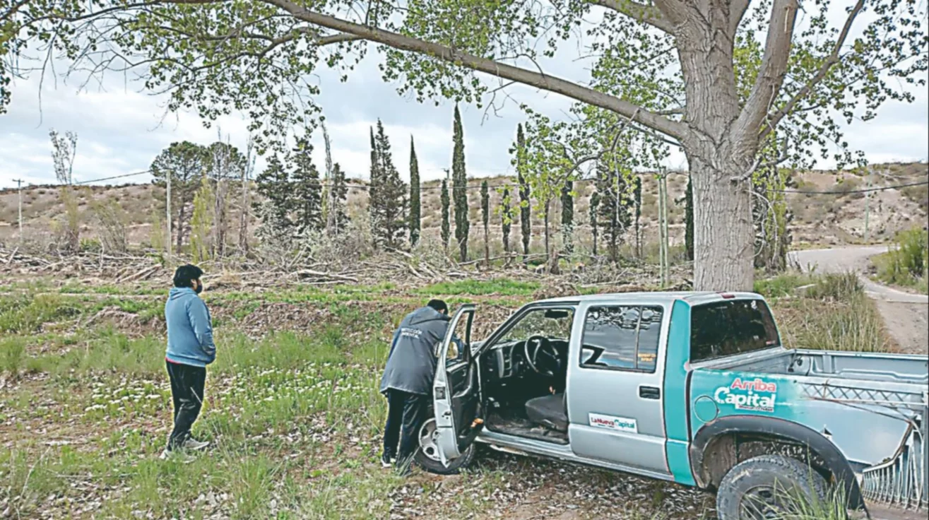 Indignación de vecinos del Loteo Don Emilio por tala indiscriminada