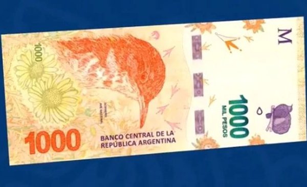 El Banco Central Presentó El Billete De 1000 Pesos Con La Imagen Del Hornero El Chubut 1025